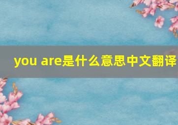 you are是什么意思中文翻译